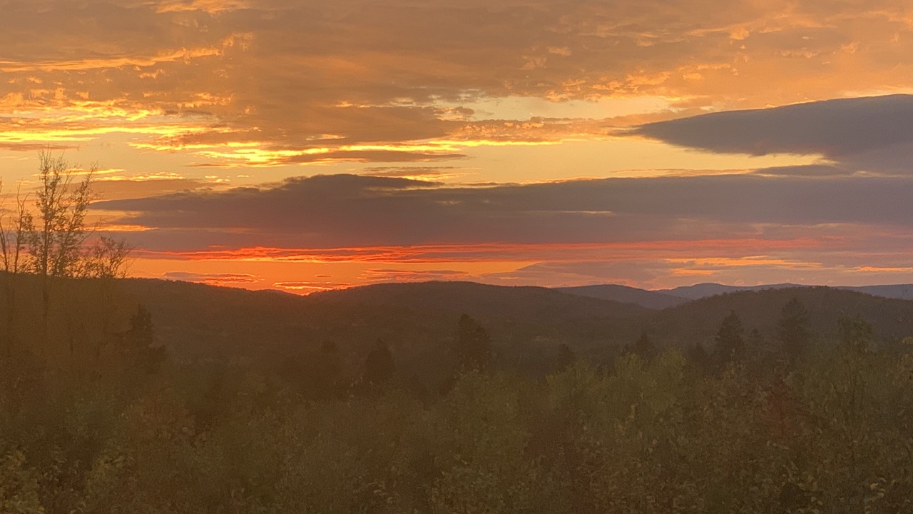 Photo of Others in Stewartstown