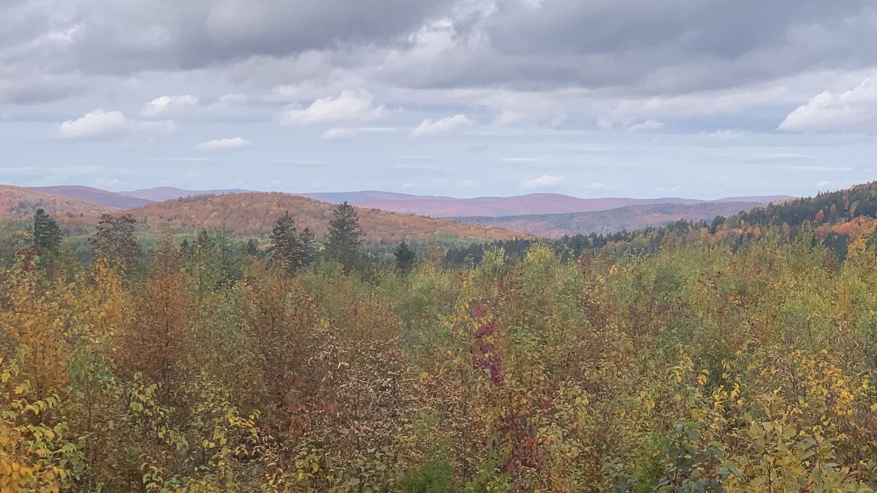 Photo of Others in Stewartstown