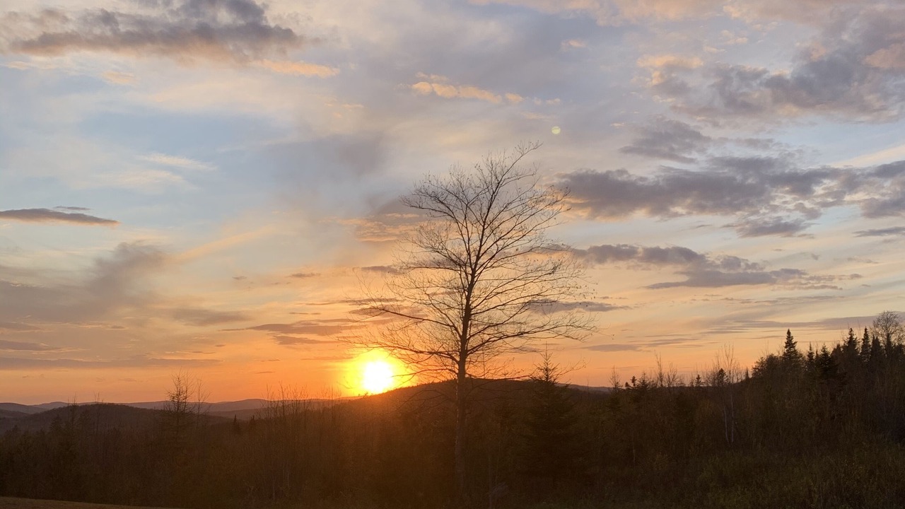 Photo of Others in Stewartstown