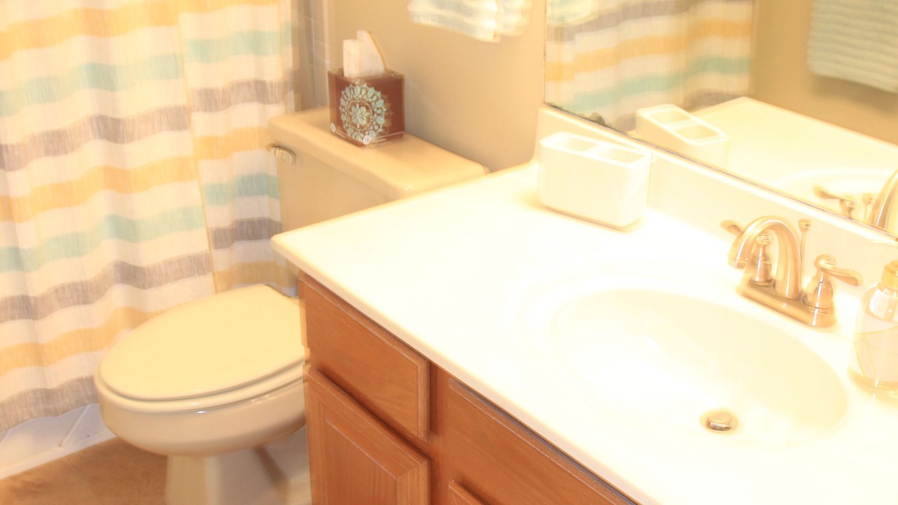 Photo of Bathroom in Nellysford