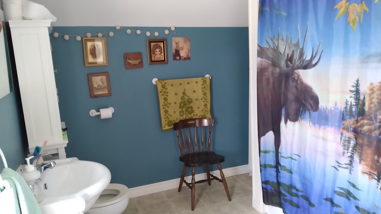 Photo of Bathroom in Flinton