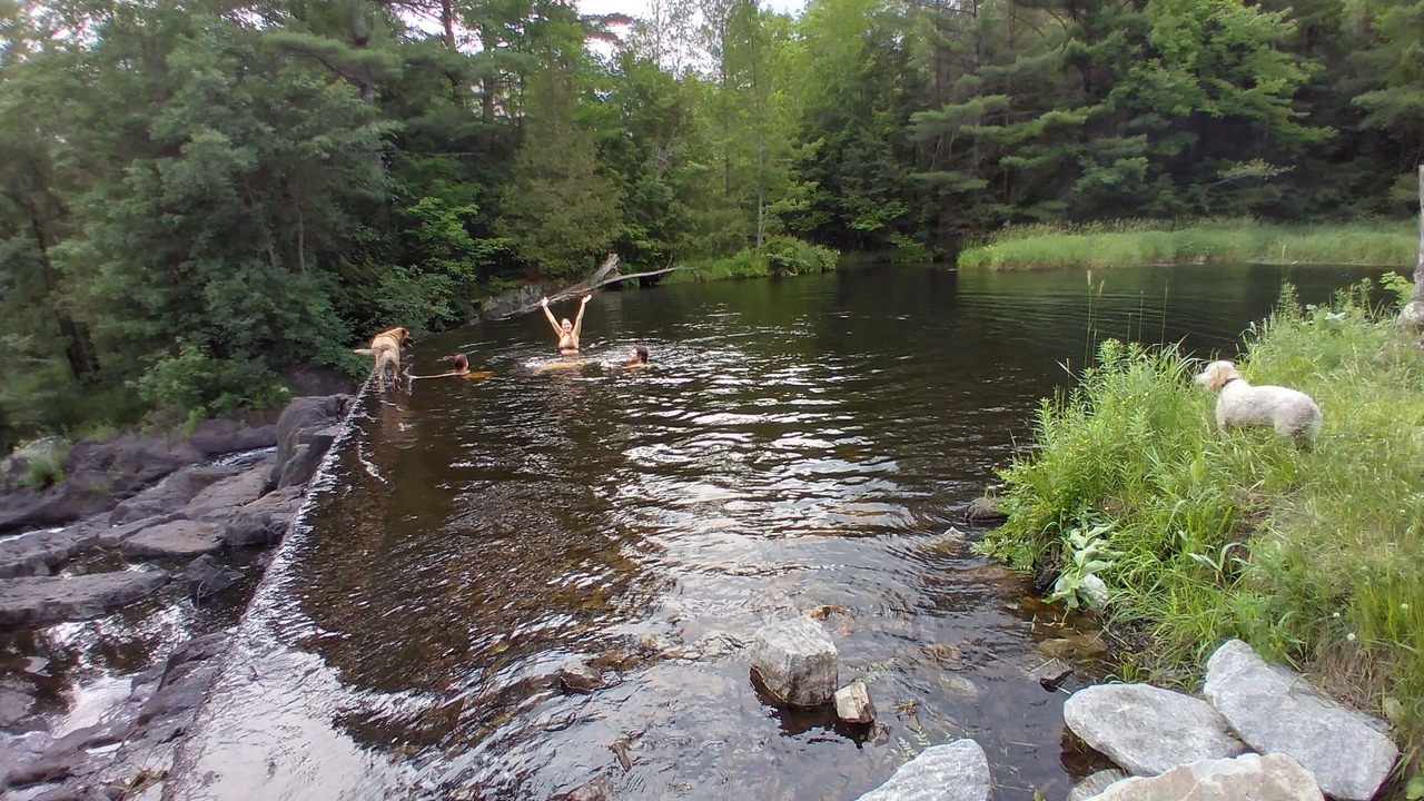 Photo of Outdoor in Flinton