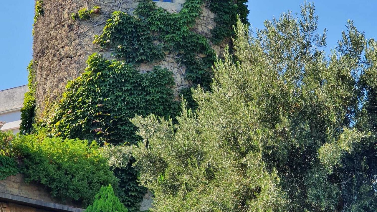 Photo of Outdoor in Caldes d'Estrac