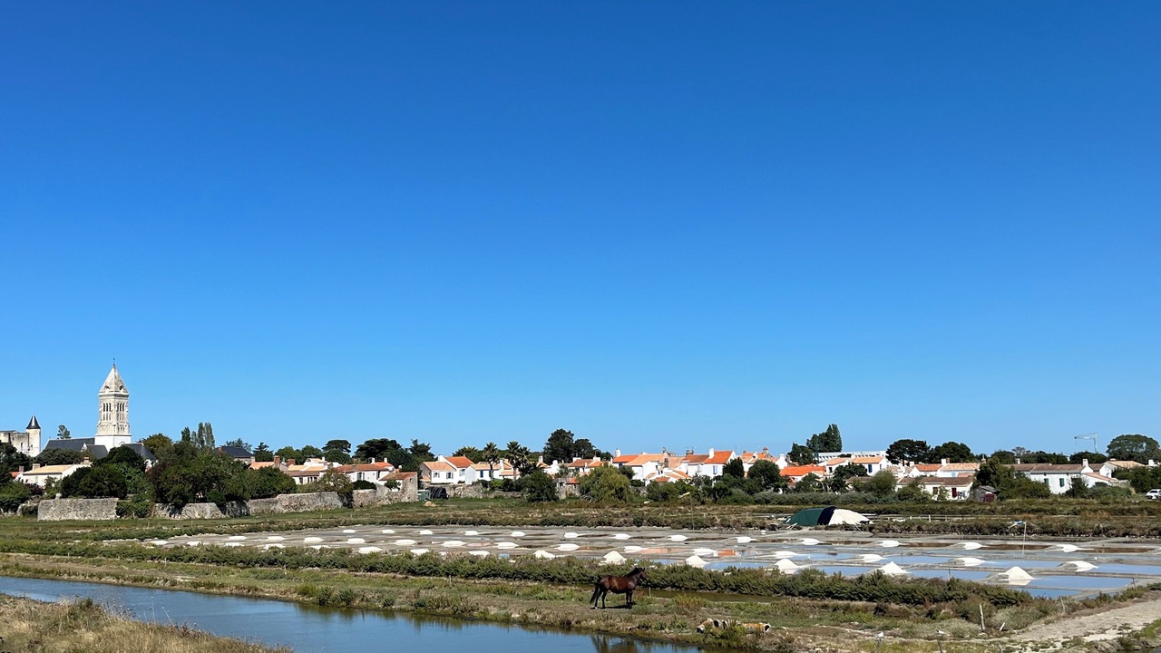 Photo of Others in Noirmoutier-en-l'Ile