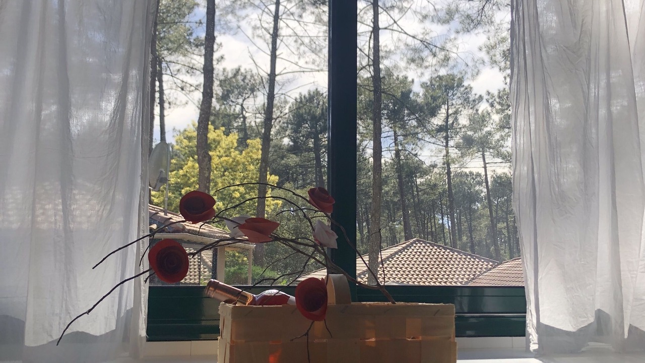 Photo of Others in Moliets-et-Maa