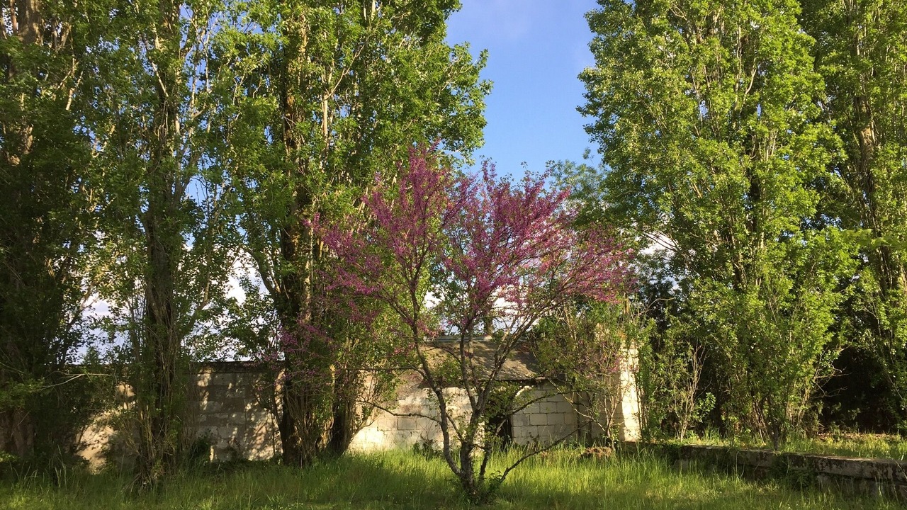 Photo of Outdoor in Villebernier