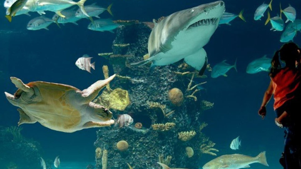 Photo of Others in Newport