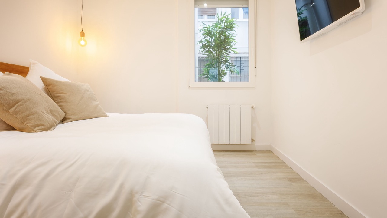 Photo of Bedroom in Abando