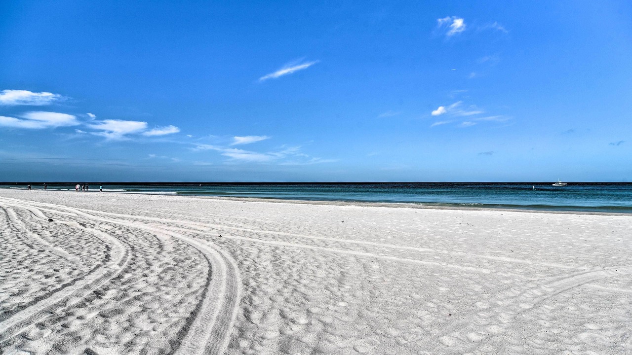 Photo of Others in Indian Rocks Beach