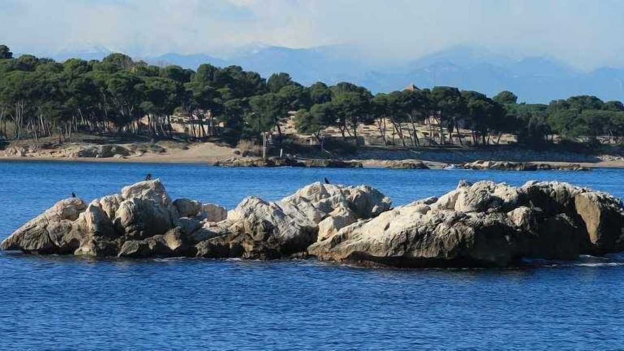 Photo of Others in L'Escala