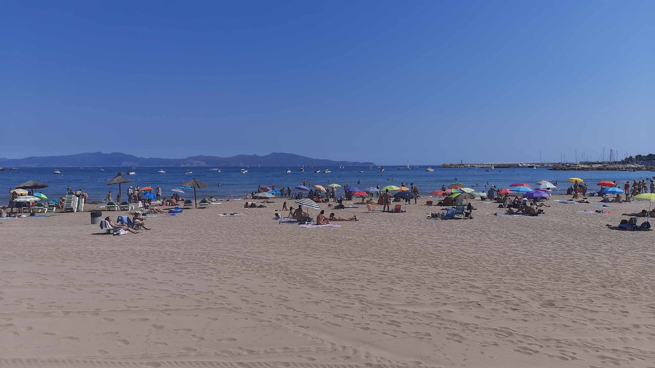 Photo of Others in L'Escala