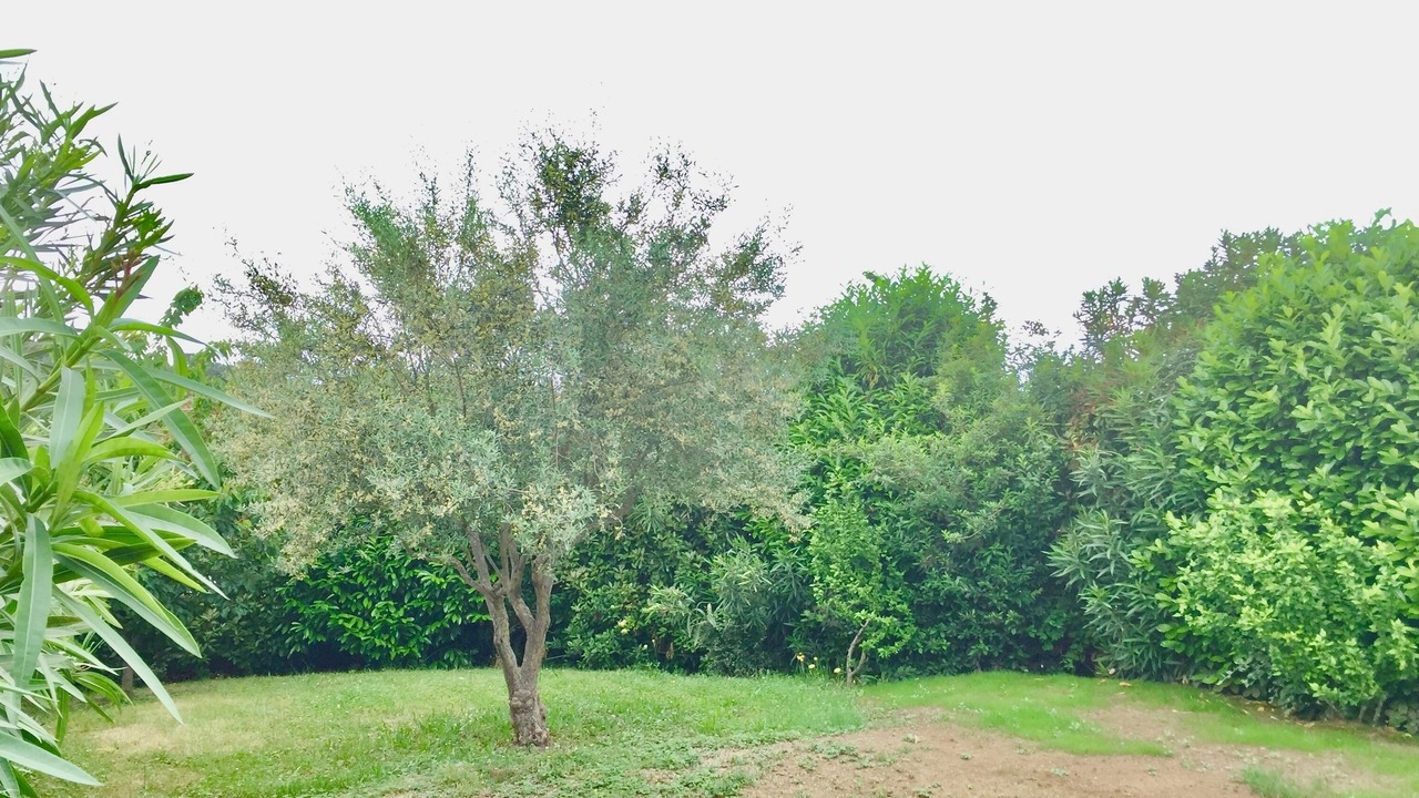 Photo of Outdoor in Carcassonne