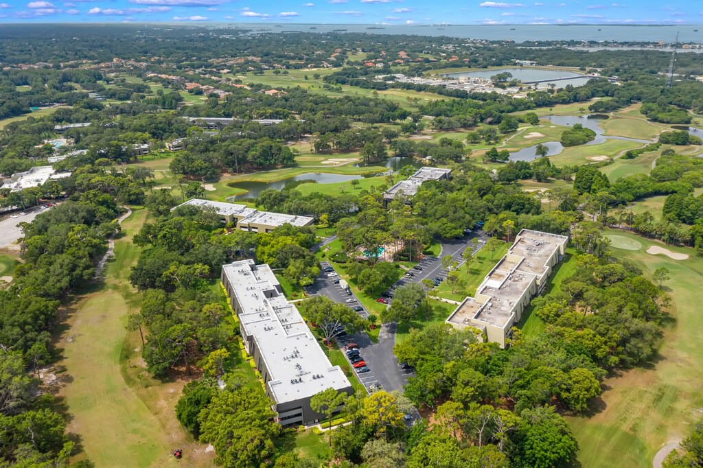 Photo of Others in Palm Harbor