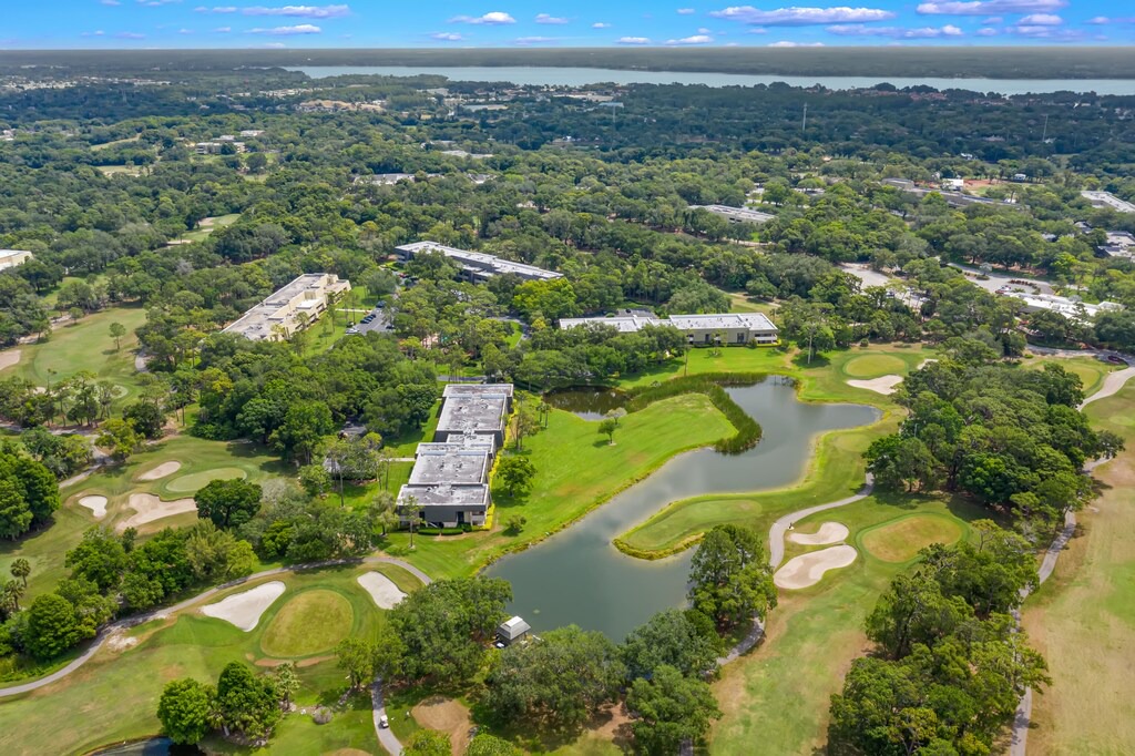 Photo of Outdoor in Palm Harbor