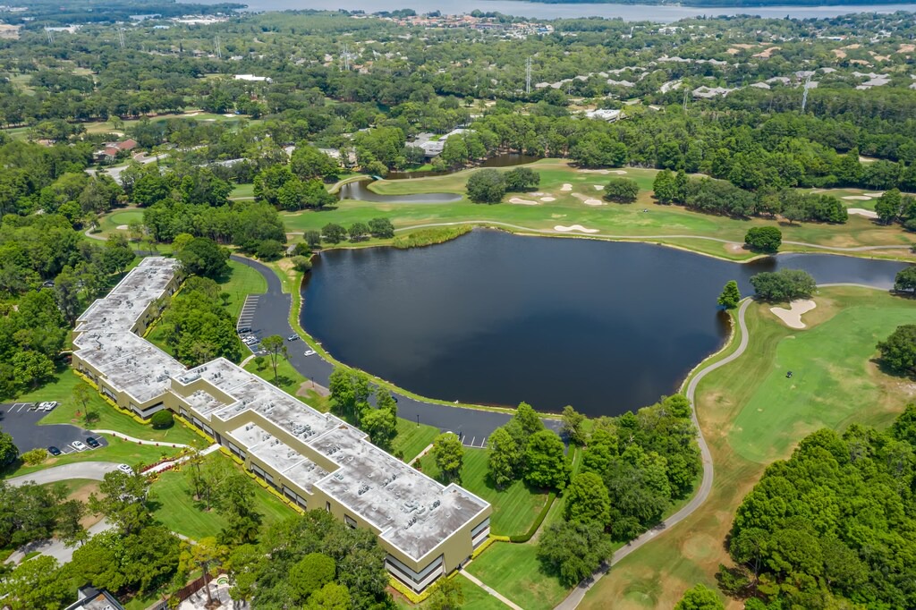 Photo of Others in Palm Harbor