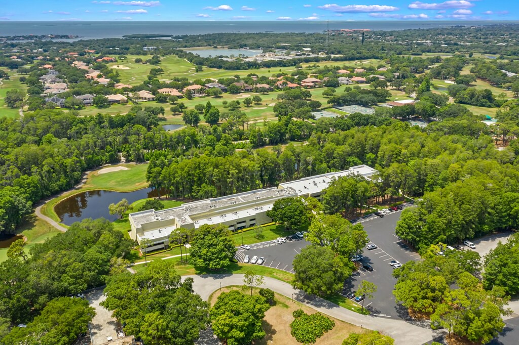 Photo of Outdoor in Palm Harbor