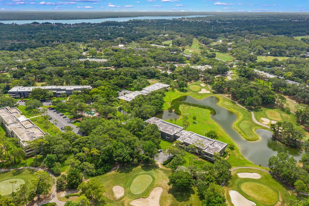 Photo of Outdoor in Palm Harbor