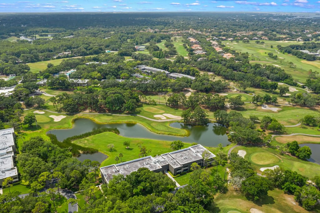 Photo of Outdoor in Palm Harbor