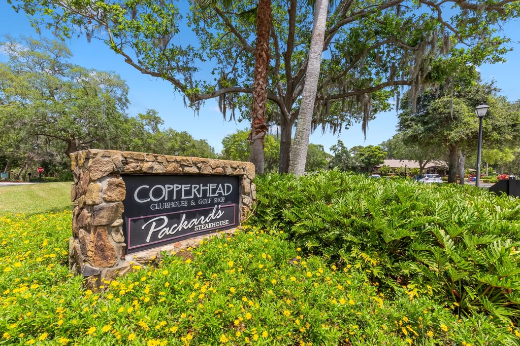 Photo of Buildings in Palm Harbor