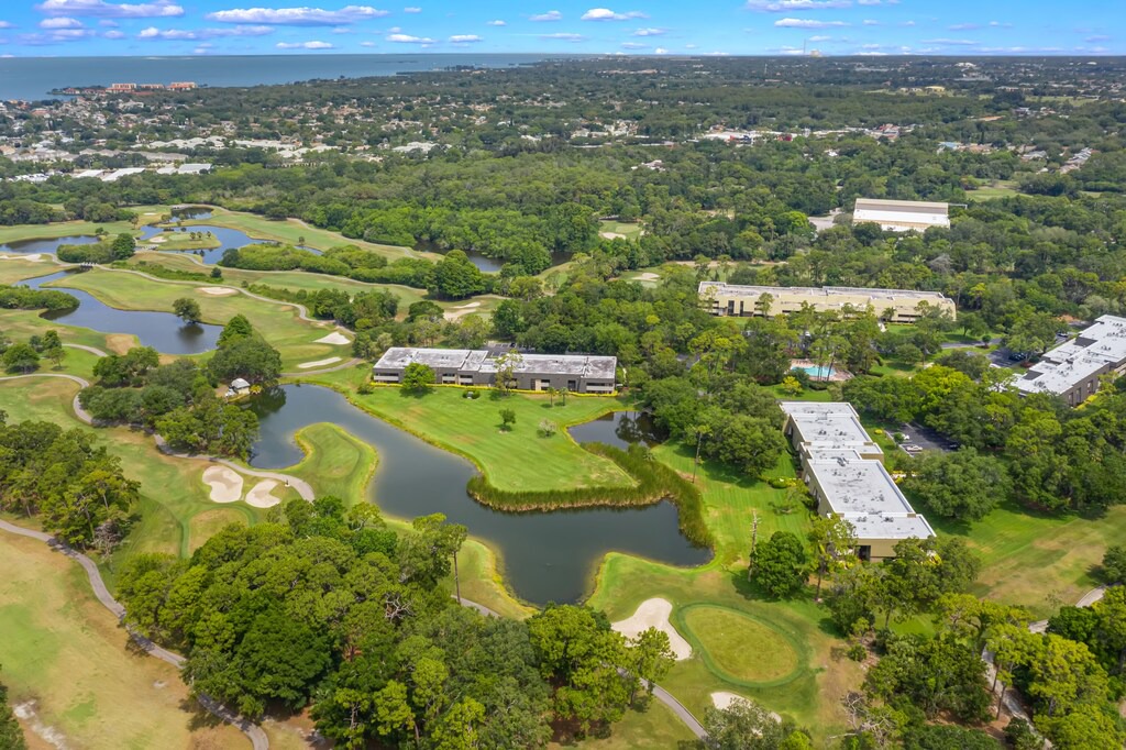 Photo of Outdoor in Palm Harbor