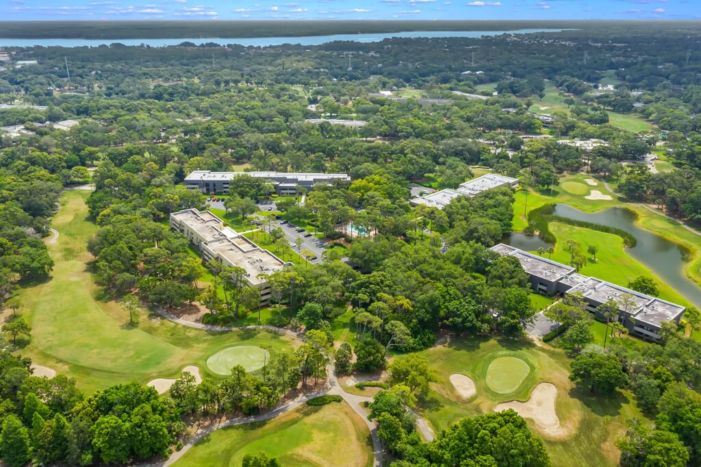 Photo of Outdoor in Palm Harbor