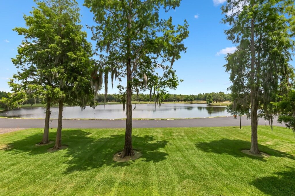 Photo of Outdoor in Palm Harbor