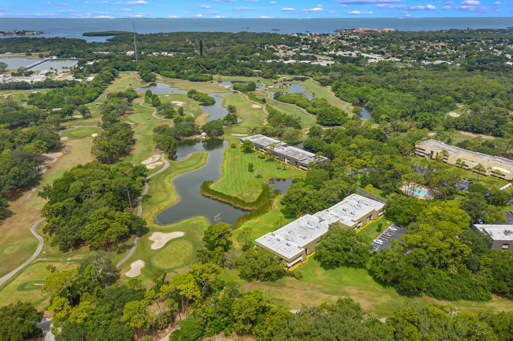 Photo of Outdoor in Palm Harbor