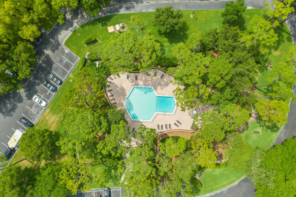 Photo of Outdoor in Palm Harbor