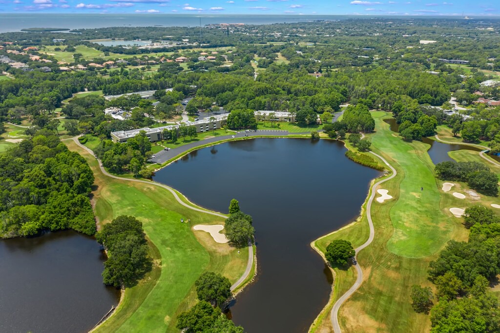 Photo of Outdoor in Palm Harbor