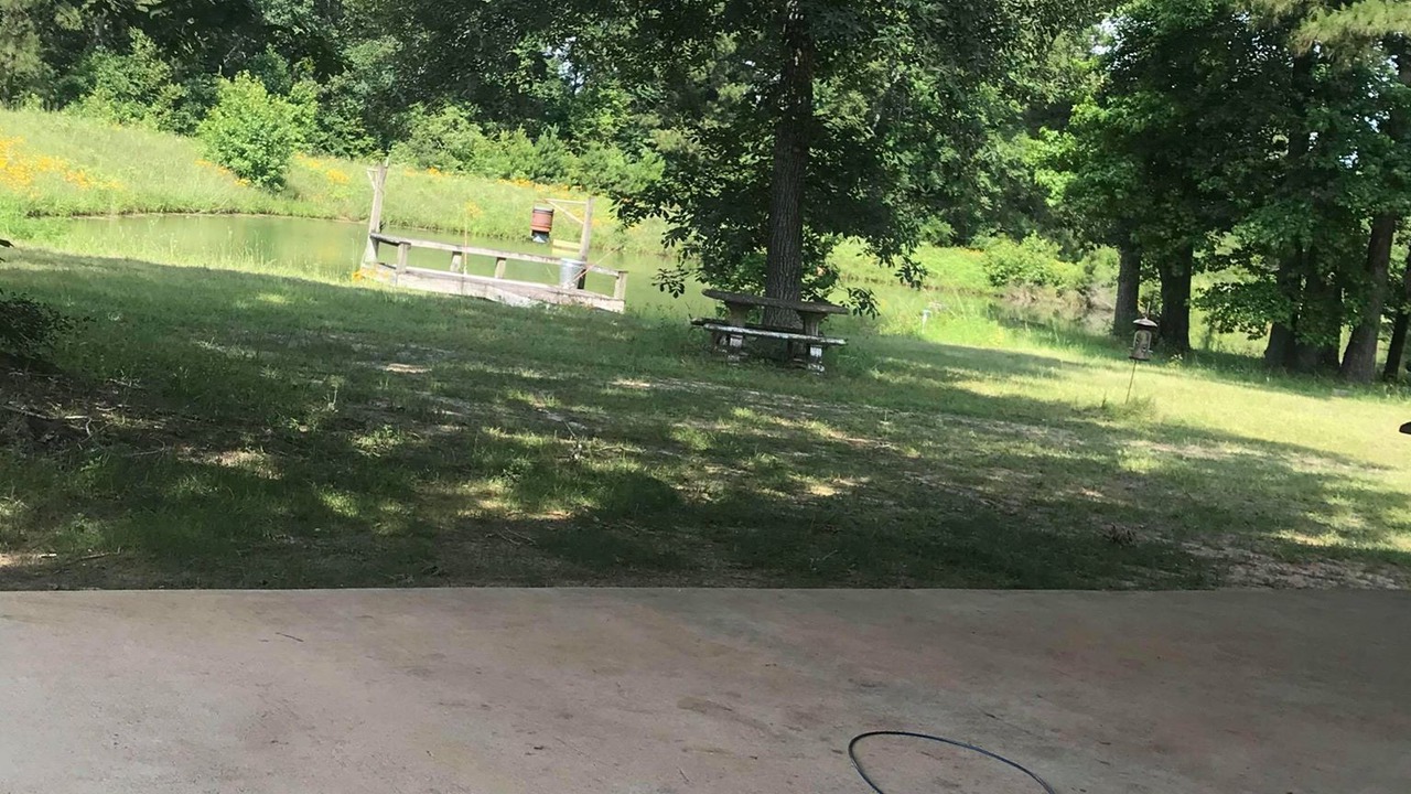 Photo of Outdoor in Willis
