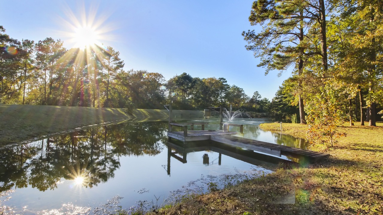 Photo of Outdoor in Willis