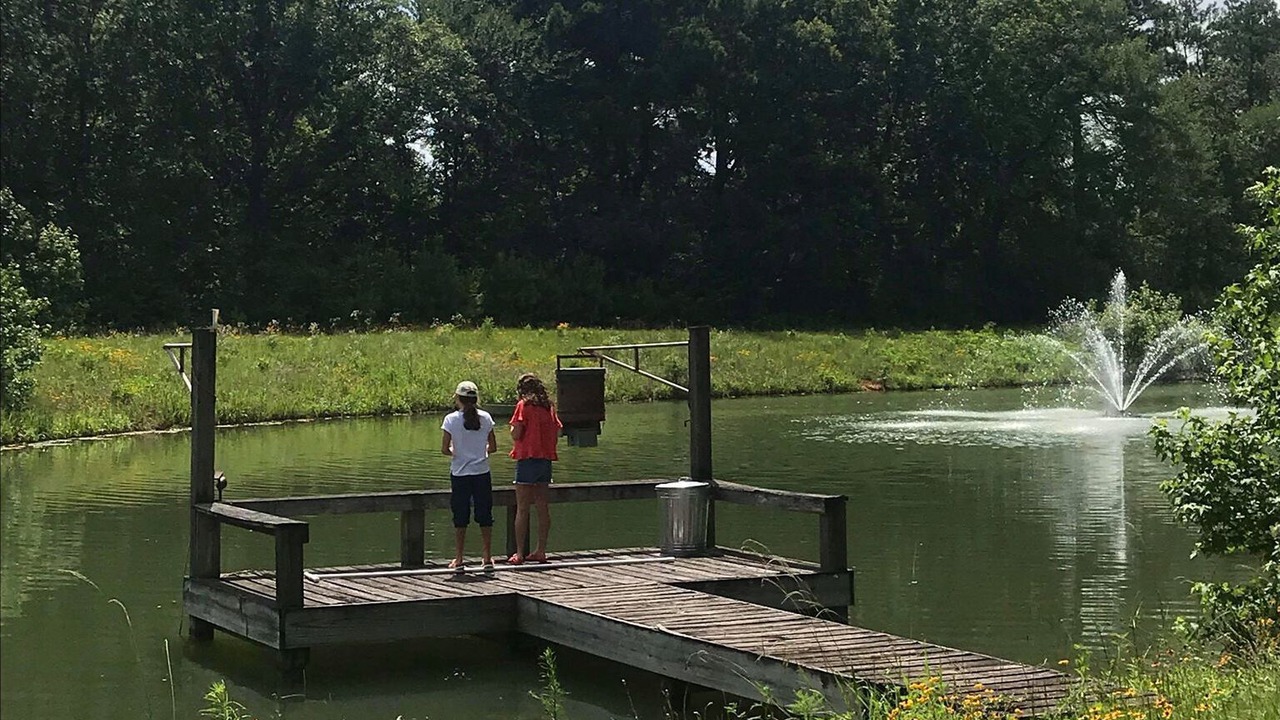 Photo of Outdoor in Willis