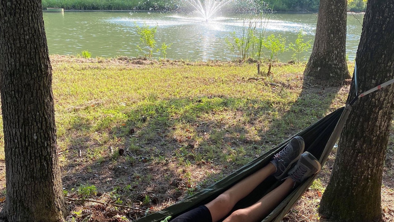 Photo of Outdoor in Willis