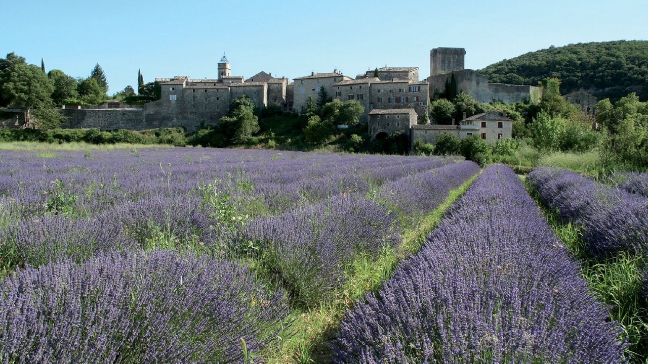 Photo of Outdoor in Pont-Saint-Esprit