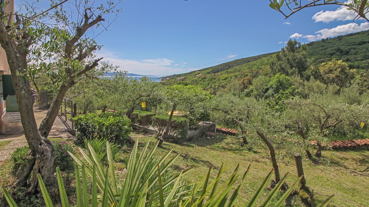 Photo of Outdoor in Sveta Marina