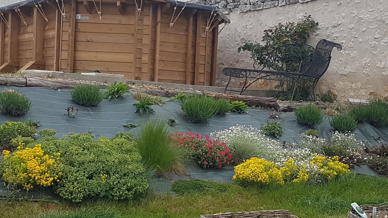 Photo of Outdoor in Theneuil