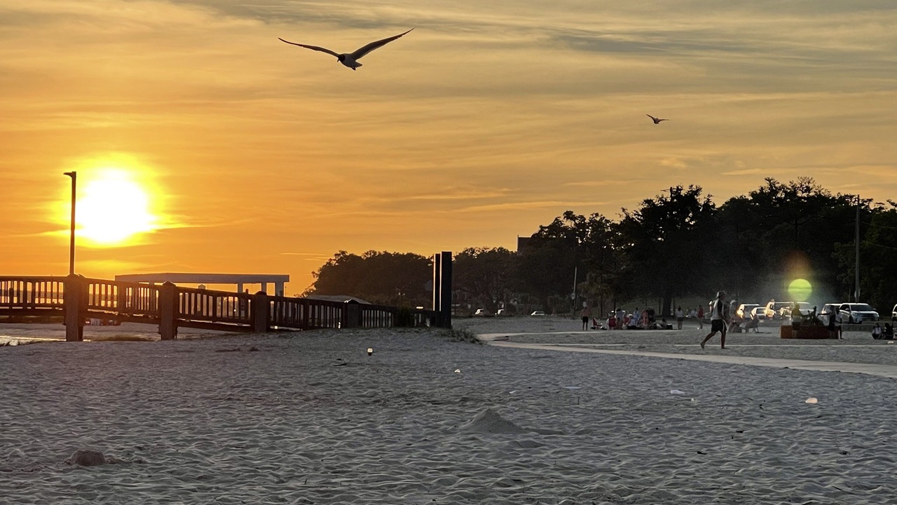 Photo of Others in Ocean Springs
