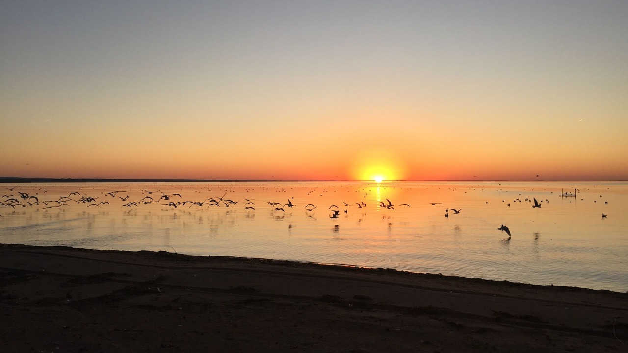 Photo of Others in Sylvan Beach