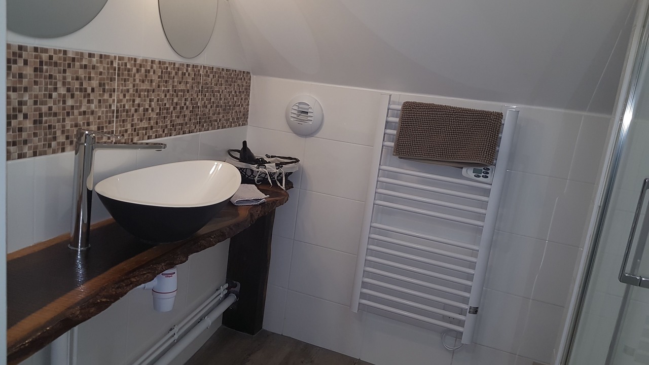 Photo of Bathroom in Theneuil