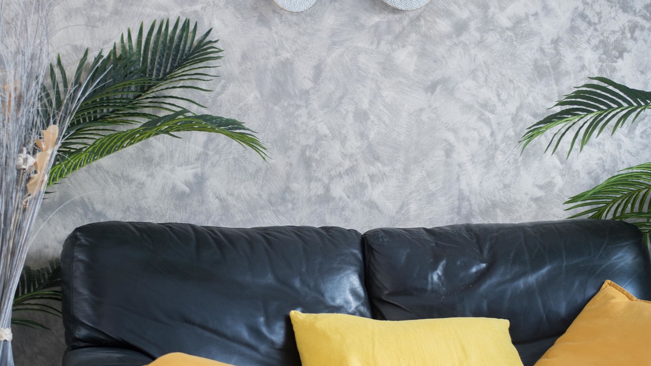 Photo of Others in Chauve