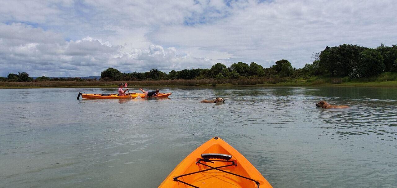 Photo of Others in Waiotahi
