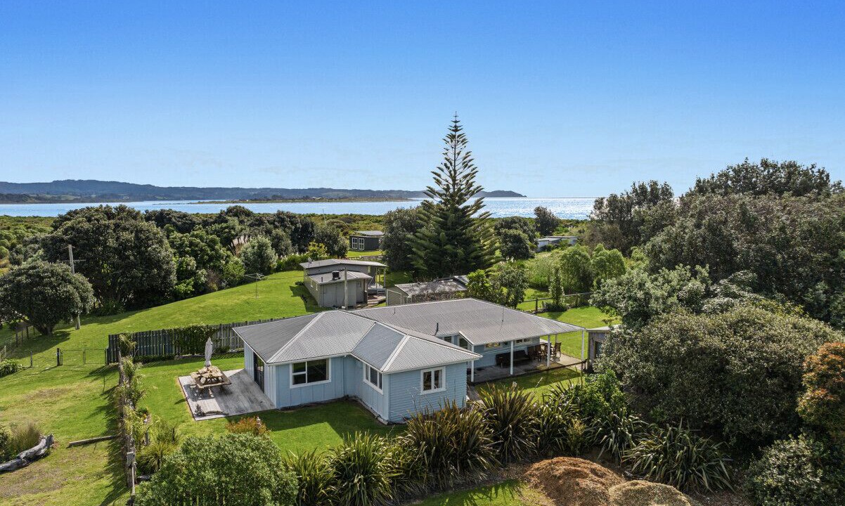 Photo of Outdoor in Waiotahi