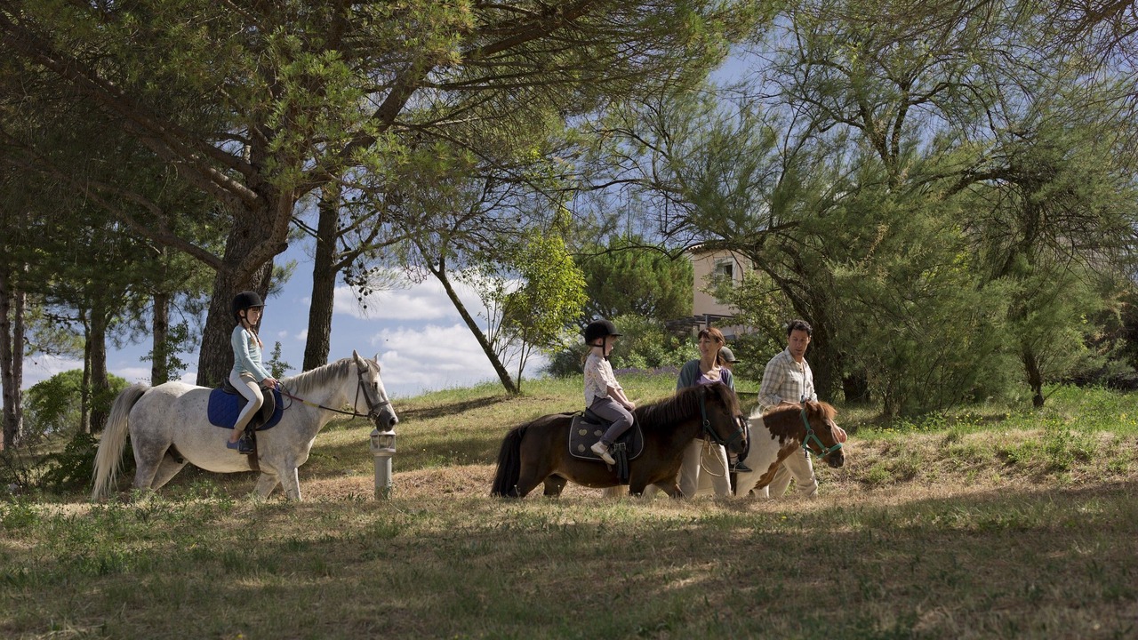 Photo of Others in Rouret