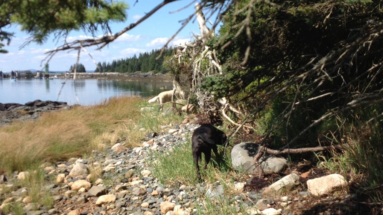 Photo of Outdoor in Minturn