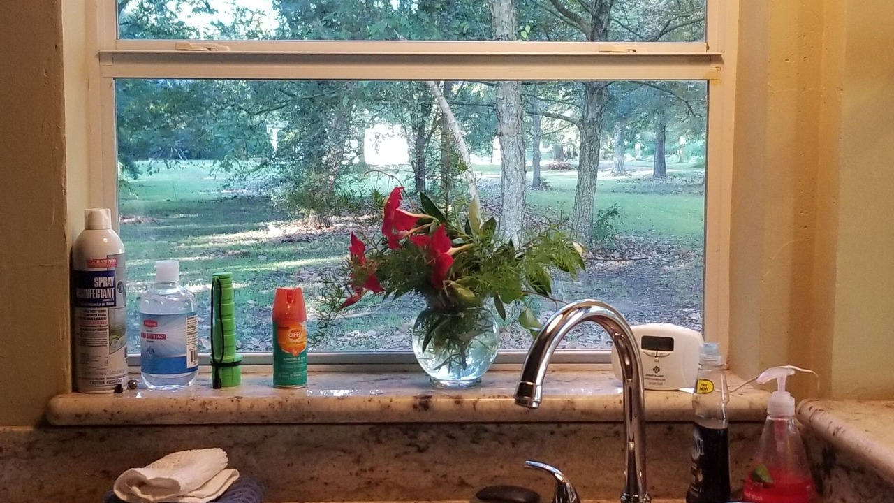 Photo of Kitchen in Lottie