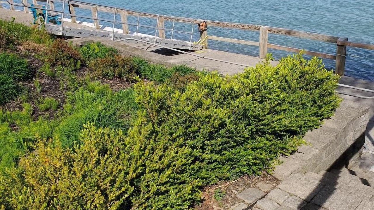 Photo of Outdoor in North East
