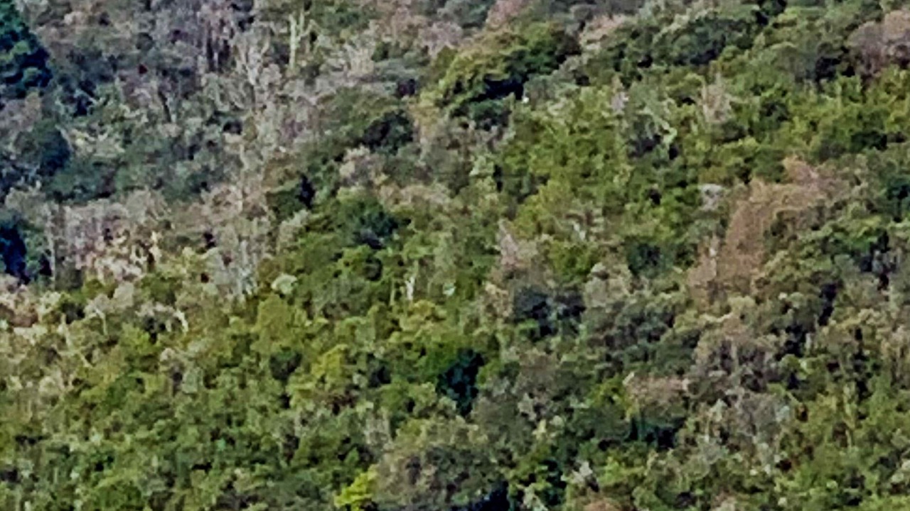Photo of Outdoor in Sari-Solenzara