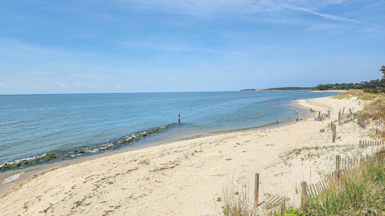 Photo of Others in Bay Ridge