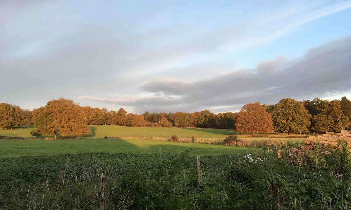 Photo of Others in Bossay-sur-Claise