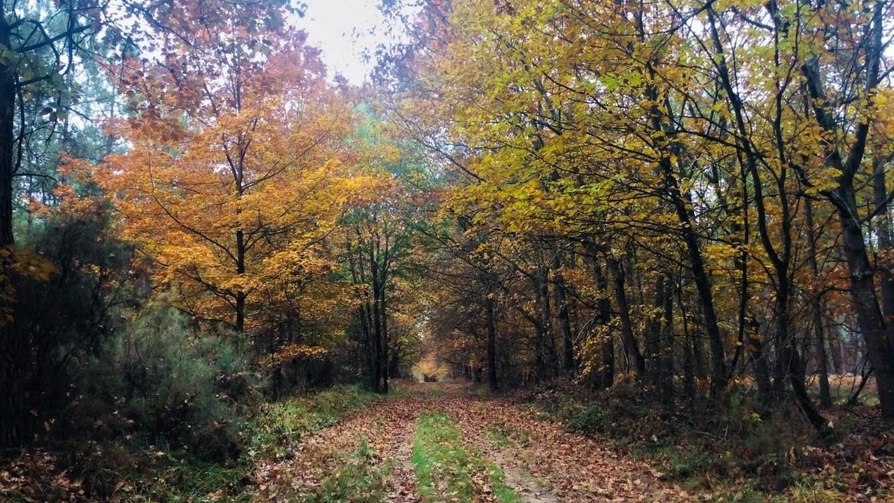 Photo of Outdoor in Bossay-sur-Claise
